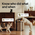 PETLIBRO Dog Camera with Phone App, 360° Auto Tracking Pet Camera Indoor with Phone App for Home Alone Pets, Cat & Puppy Camera with 2-Way Audio, Night Vision, Indoor Camera Wifi