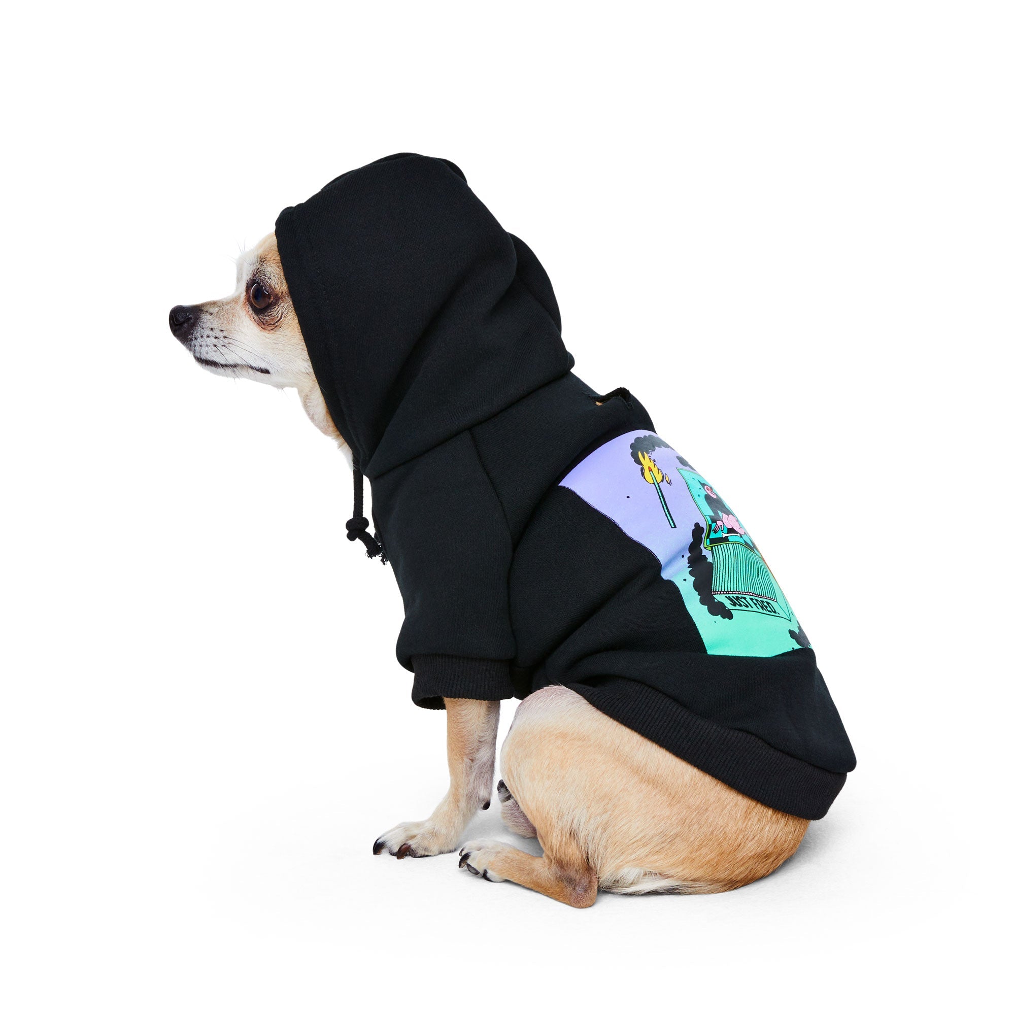Snap Back Hoodie
