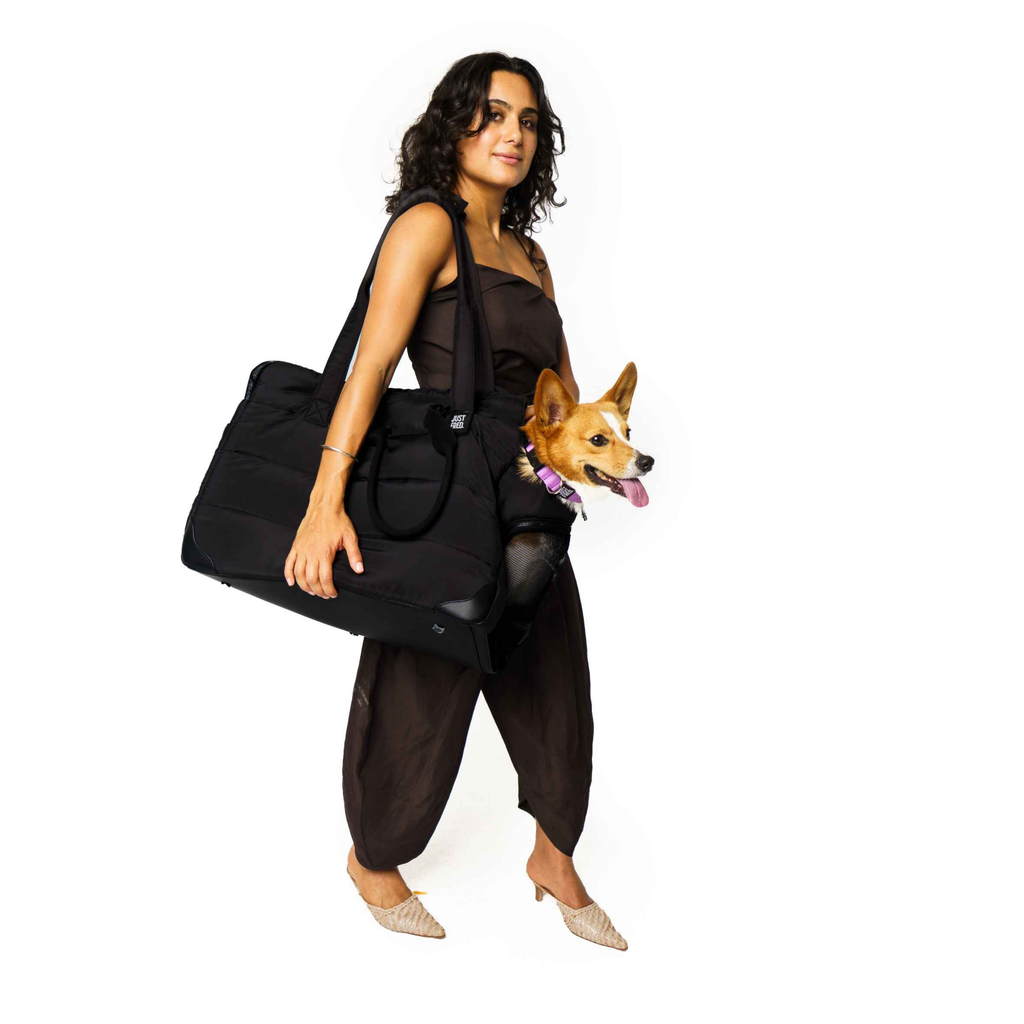 The Companion Tote