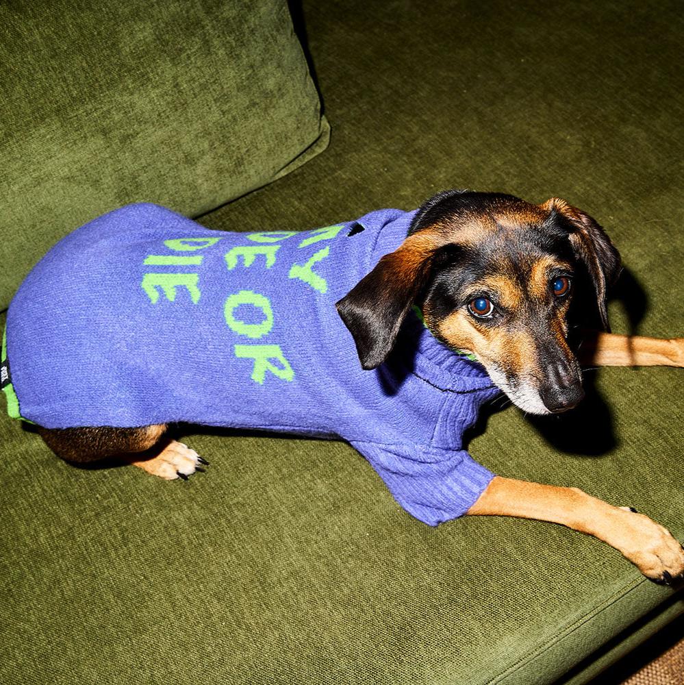 Ride or Die Sweater